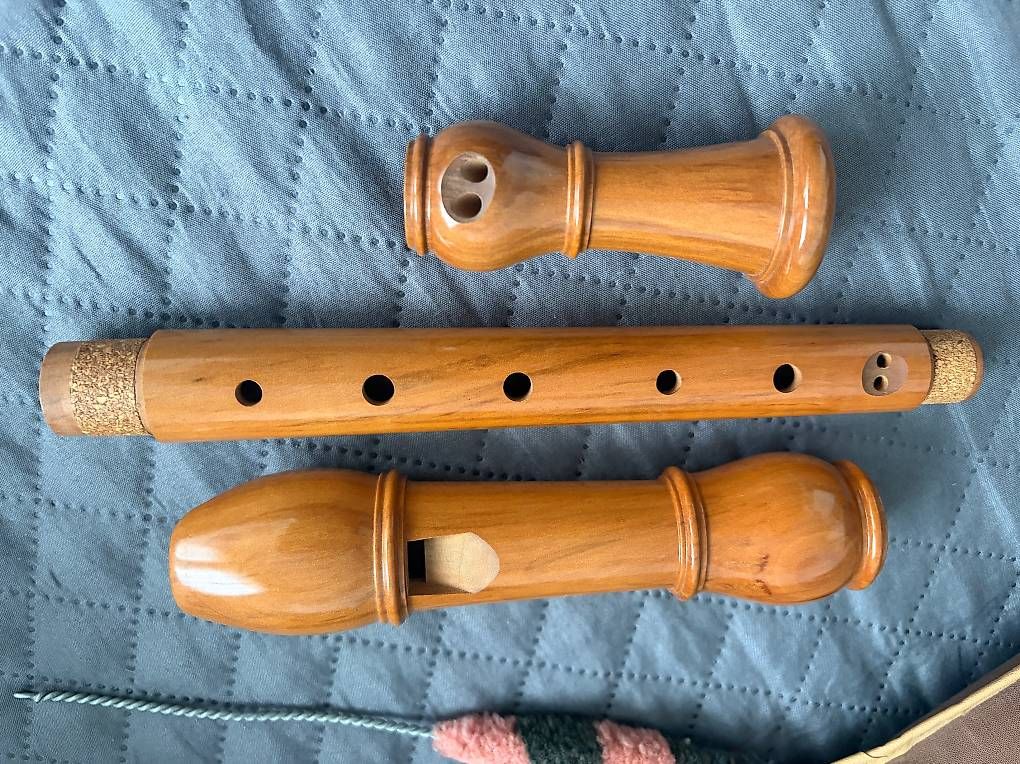 Strumenti musicali: Blockflöte, Altflöte Fehr – Usato da Jonen venduto da Luzella 1