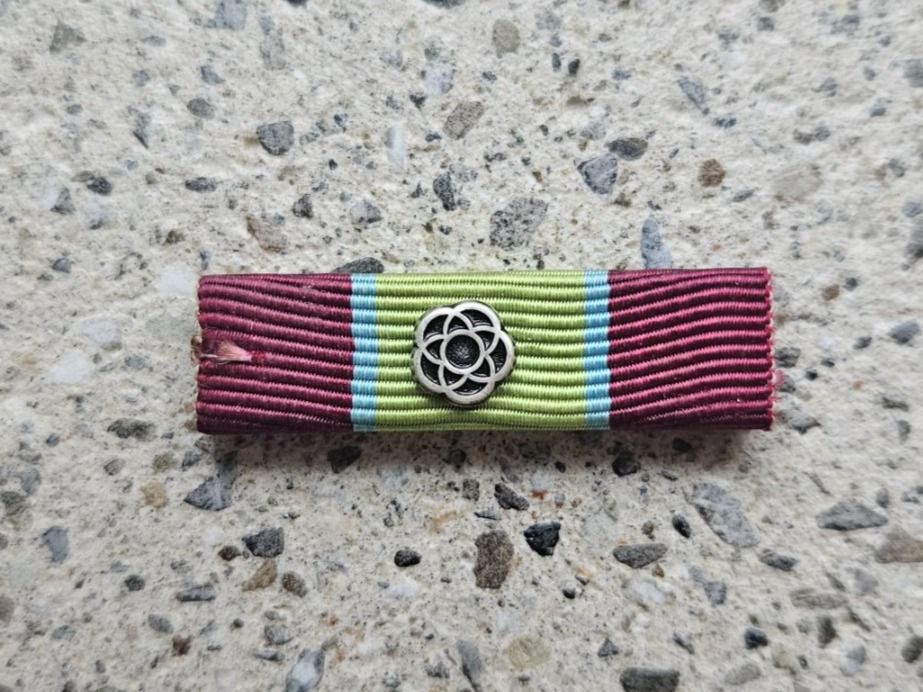 Schweizer Armee Placchette & Badge: *** Swisscoy Ribbon *** – Usato da Riedholz venduto da fr_sIruP