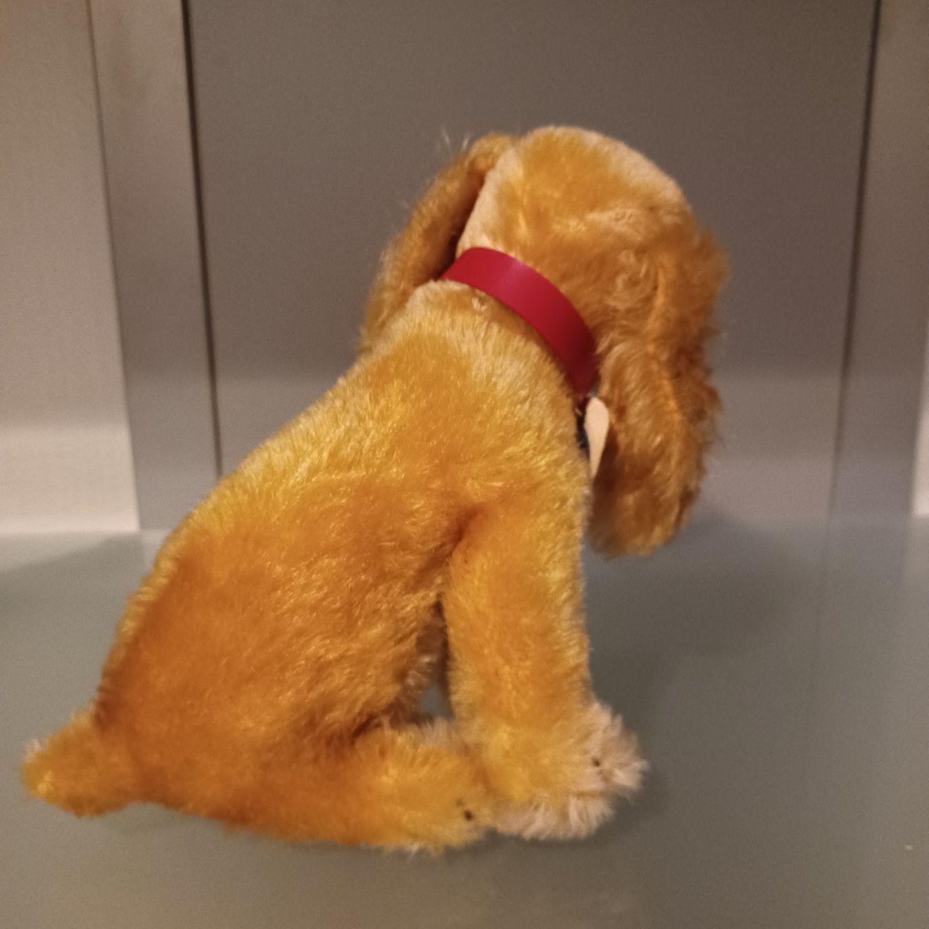 Steiff Giocattoli: Steiff Hund Revue Susi17 cm gross – Usato da Abtwil SG venduto da luupsy 2