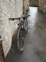 Bicicletta specialized
