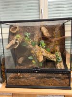 Exo Terra Terrarium 60x45x60h