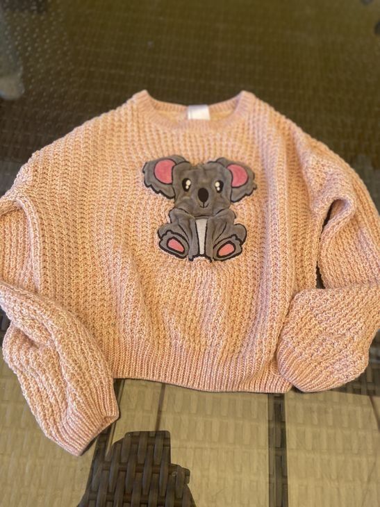 Maglioni & Felpe: Mädchen Pullover mit Koala 122/128 – Usato da Bergdietikon venduto da antovale
