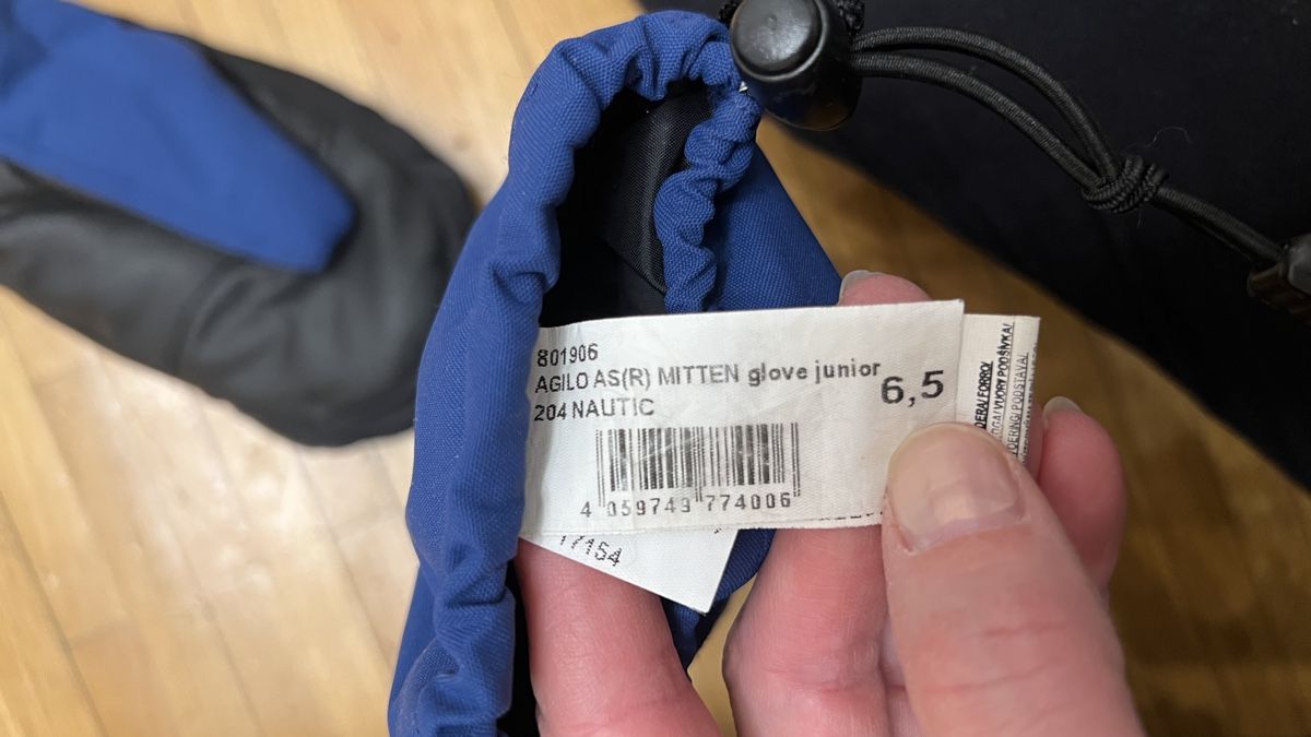 Ziener Guanti & manicotti: Skihandschuhe Ziener Fäustlinge 6.5 – Usato da Tagelswangen venduto da Bomu 2