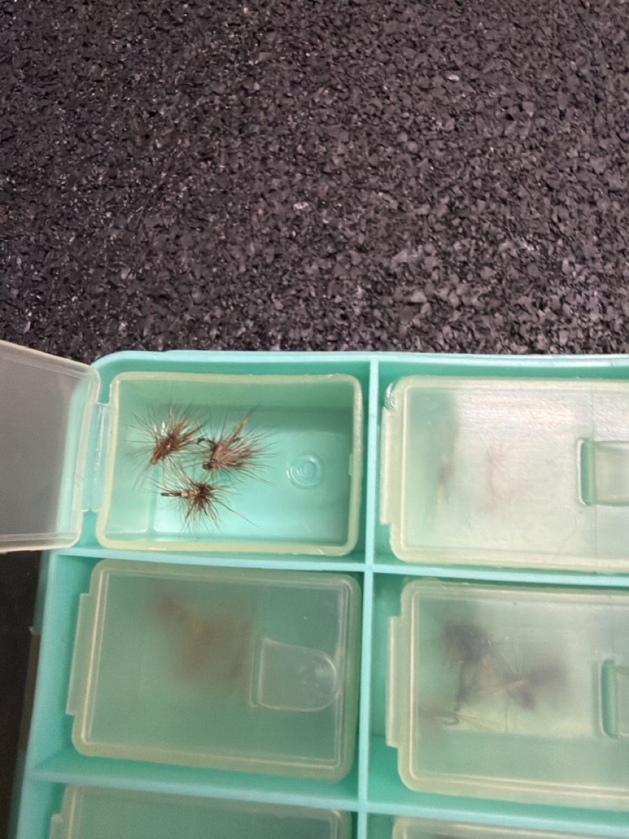 Köder: Fliegenköder in Kunststoffbox – Gebraucht aus Nesslau von deo_fqt7 2
