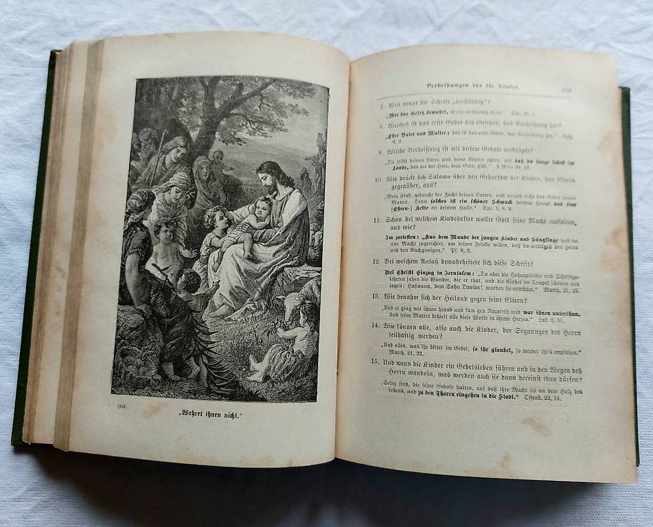 Bücher: Bibellesungen Jahr 1893 – Gebraucht aus Seuzach von Heinz7947 3