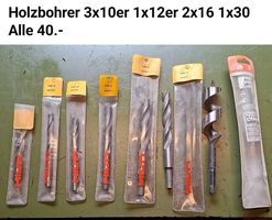 Holzbohrer