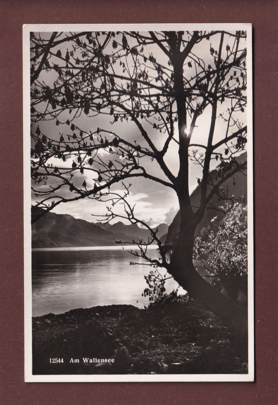Cartoline postali: Am WALENSEE – Usato da Pully venduto da nicecards