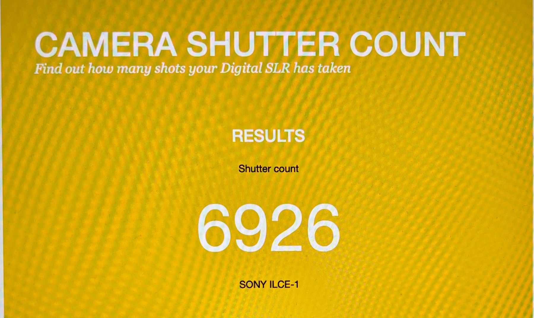 Sony Kamera: Sony A1 top Zustand mit Sony Grip – Gebraucht aus Emmenbrücke von sebmartre 3