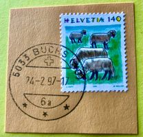 Nr.866 mit Stempelt Schafe Buchs  