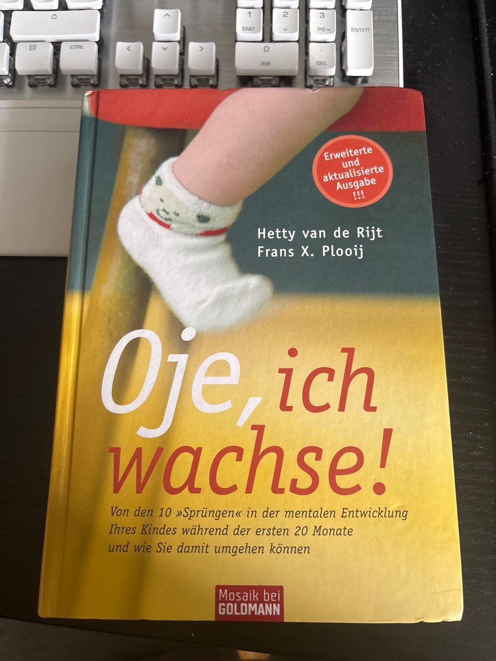 Libri: Sachbuch Entwicklung eines Kindes – Nuovo (secondo la descrizione) da Hochfelden venduto da lor_xt2h