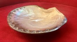 Perlmutt-Muschelablage mit eingravierter Rand✨Top