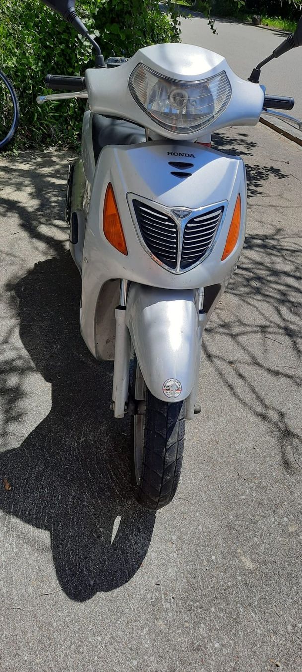Honda Scooter: Honda SH 125 – Usato da Wettingen venduto da 2fiule5 2