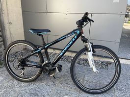 MTB Stockli Cobalt 24"