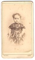 Fotografie Fr. Gysi, Aarau, niedliches k