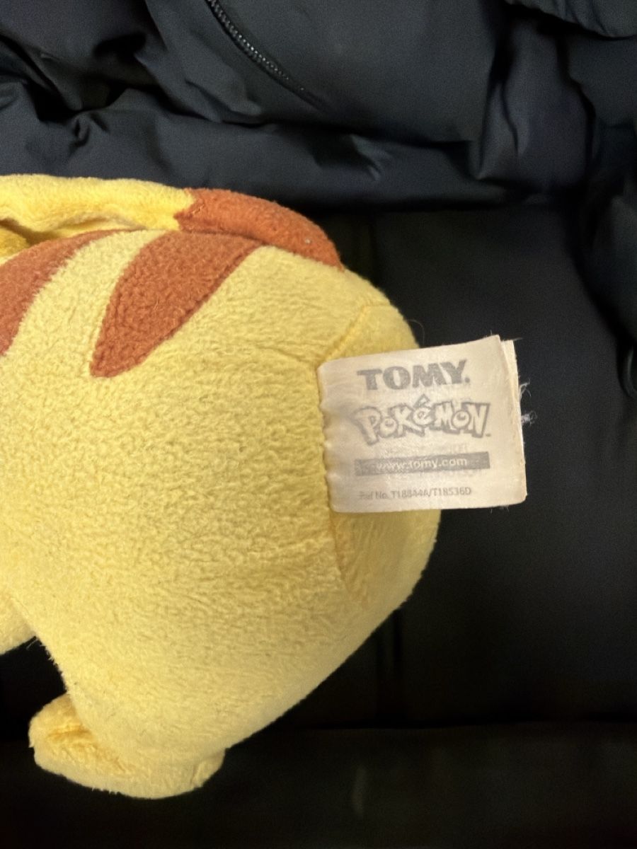 Pokémon Spielzeuge: Pikachu Stofftier  – Gebraucht aus Zürich von osw_82xn 2