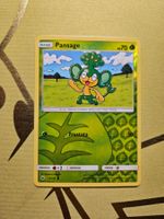 Burning Shardows - Pansage