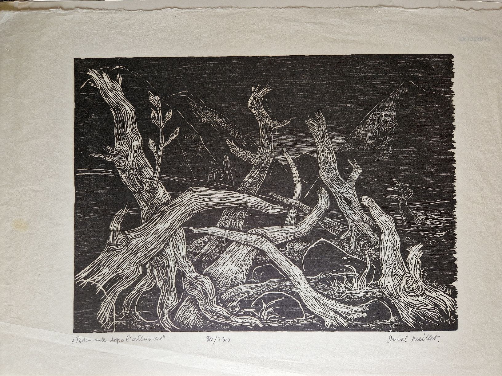 Grafica & Litografie: Lithographie "Pedemonte dopo l'alluvione" – Usato da Locarno venduto da ris_py7x
