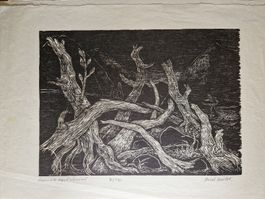 Lithographie "Pedemonte dopo l'alluvione"