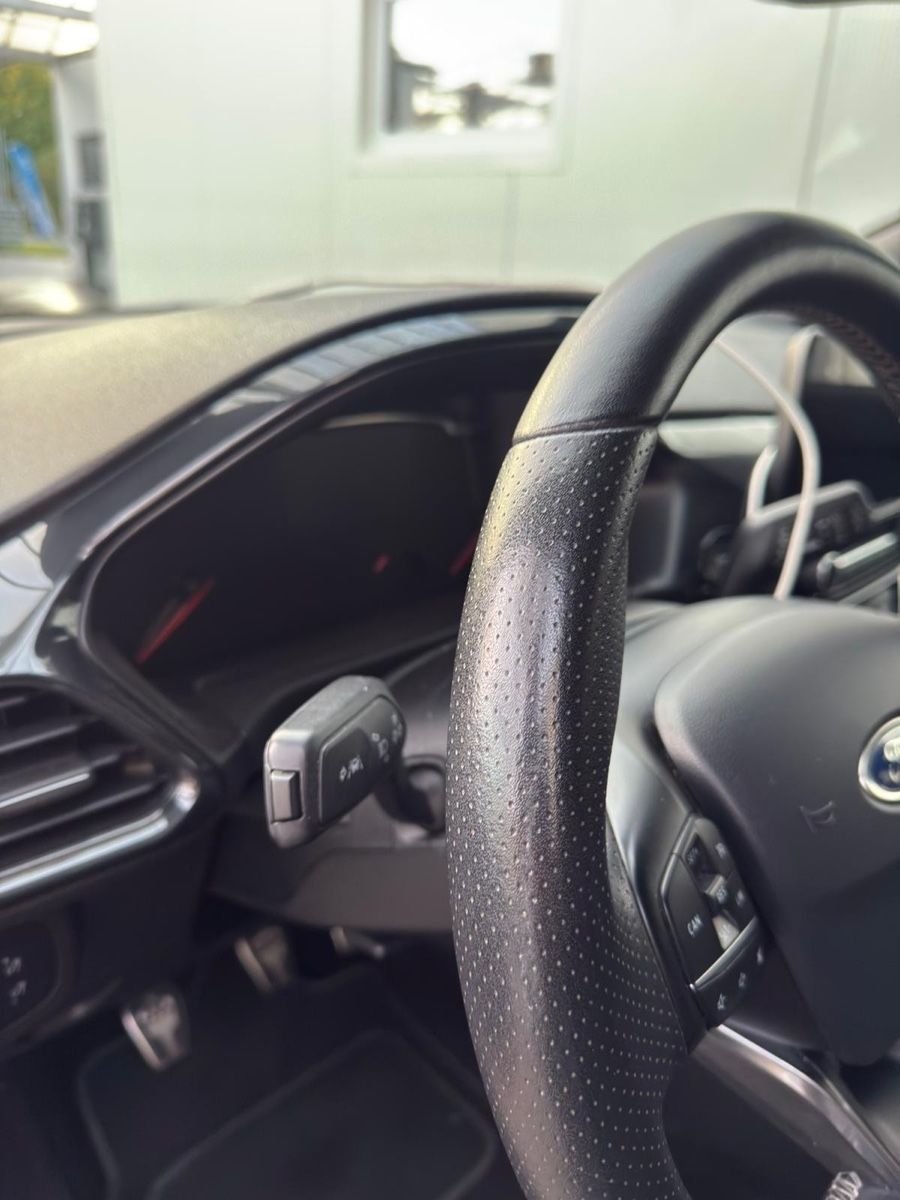 Ford Automobili: Ford Fiesta ST 2019 – Usato da Hägglingen venduto da bra_9tdd 5