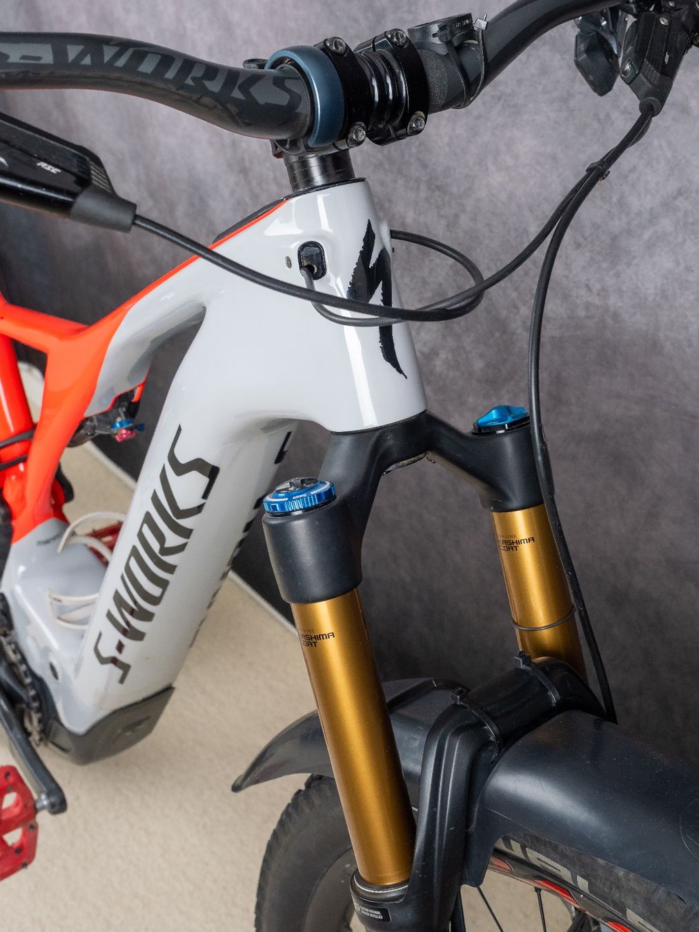 Specialized Biciclette: Specialized S-Works Turbo Levo Carbon 29 FSR – Usato da Hausen AG venduto da nihacola 8