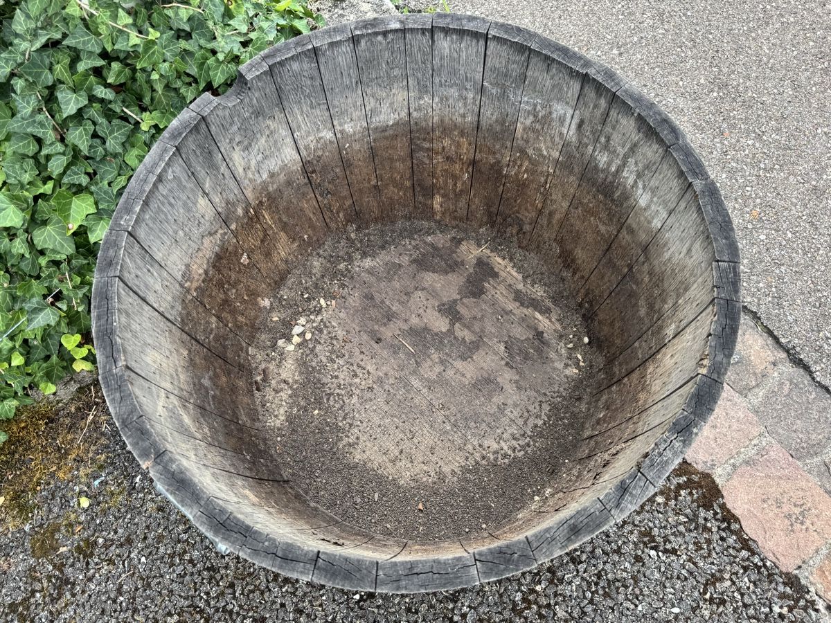 Altro: Eichenfass halbiert – Usato da Schaffhausen venduto da lindabreiter 1