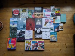 Lot de livres et BD/Romans graphiques variés