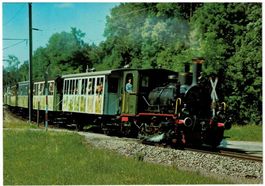 Sihltalbahn "Schnaaggi-Schaagi" mit Zug