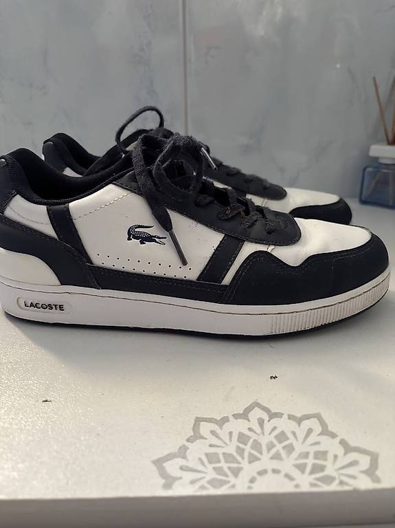 Chaussures hommes: Sneaker Lacoste – D'occasion à Safenwil par nelly2010