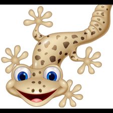 Profile image of FriendlySwiss