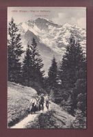 WENGEN - Weg zur Mettlenalp - Leute