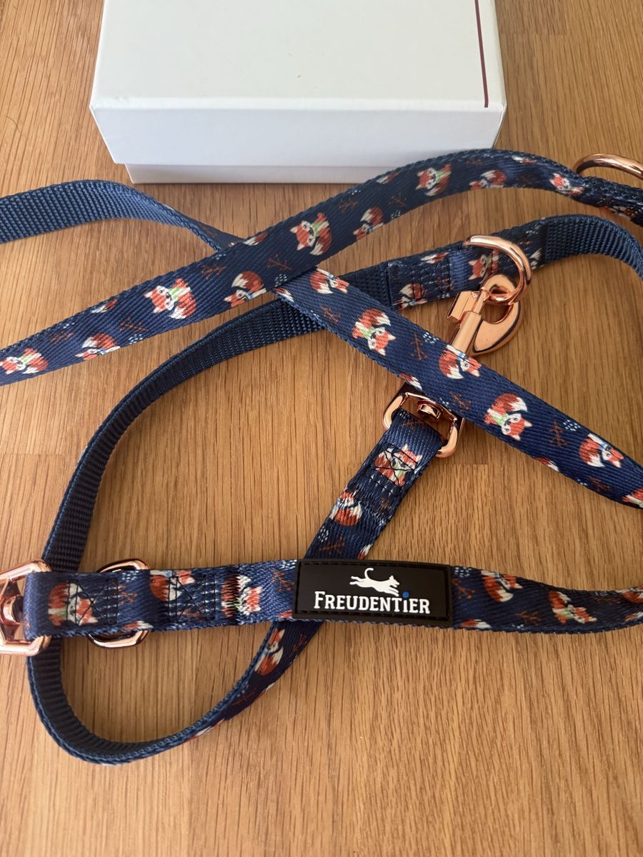 Guinzagli & Collari: Freudentier Hunde-Leine, neumit Fox-Design! – Nuovo (secondo la descrizione) da Thun venduto da sabcar 1