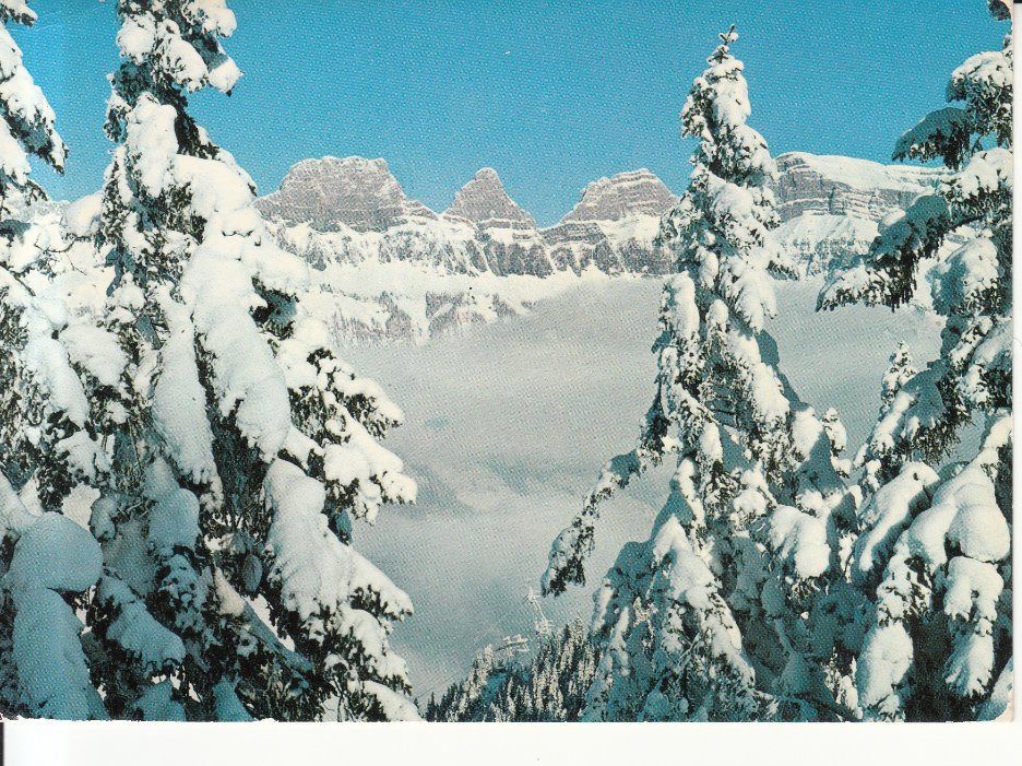 Cartoline postali: Flumserberg Aussicht 1982 – Usato da Bürglen TG venduto da StampGraf