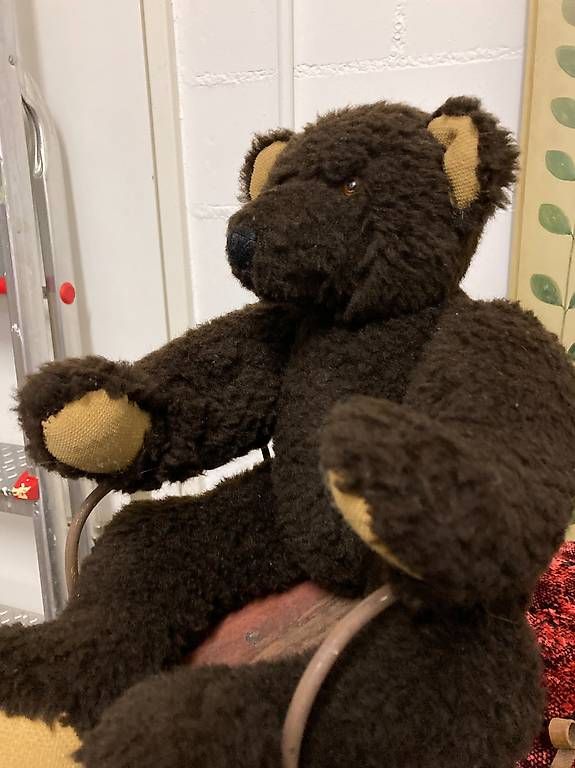Slitta: Bär auf Schlitten – Usato da Basel venduto da luggi007 3
