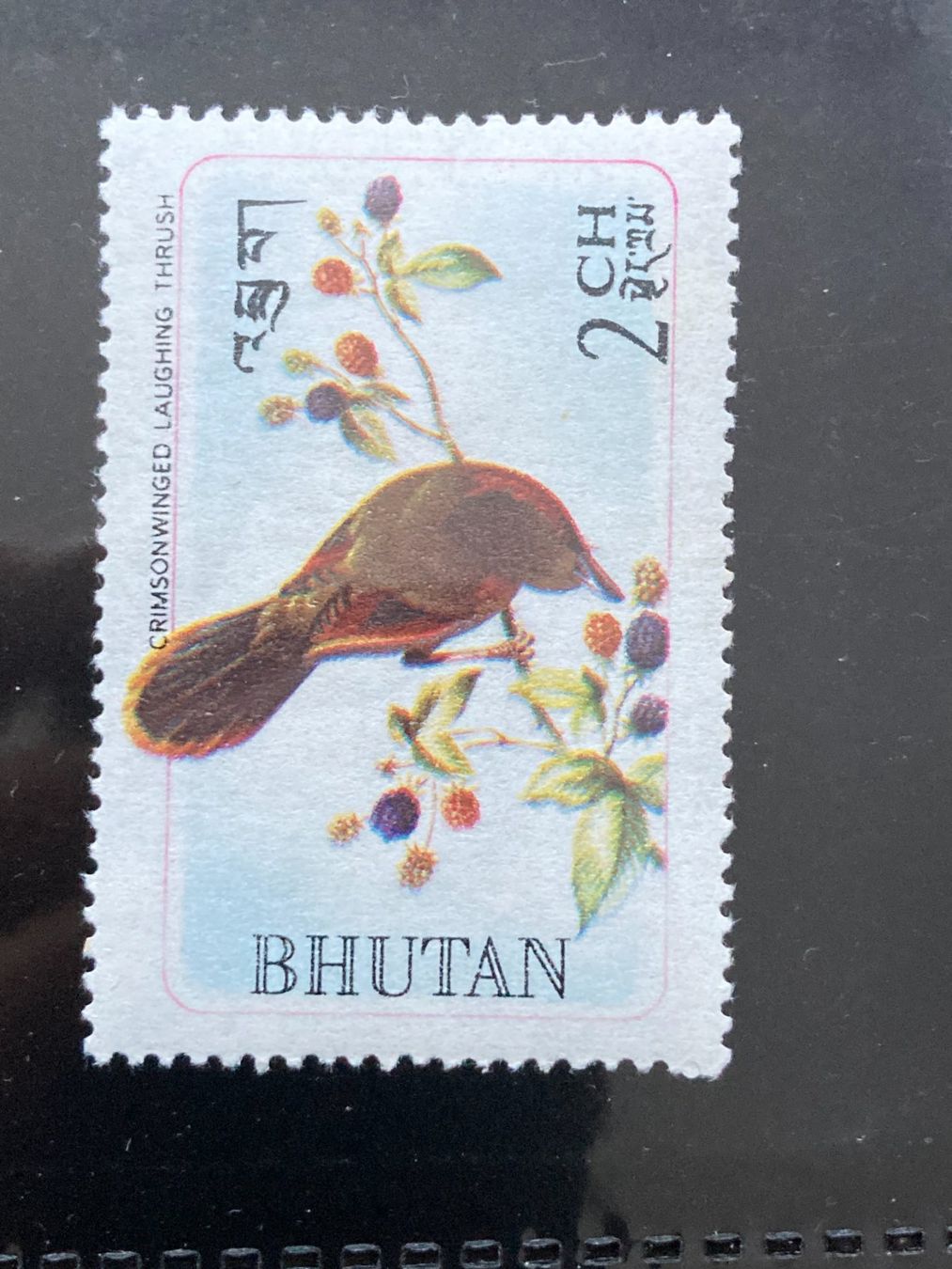 Tutti i francobolli: Bhutan Einzelmarke mit Vogel postfrisch – Nuovo (secondo la descrizione) da Liestal venduto da schnueps