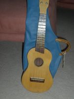 Wunderschöne Ukulele mit Instrumenttasche