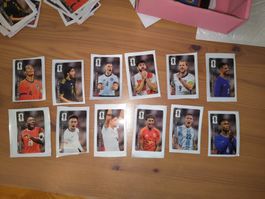 🔥Alle 12 Panini Coca Cola Sticker CC01-CC12 Komplettes Set