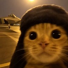 Profile image of rio_6prp
