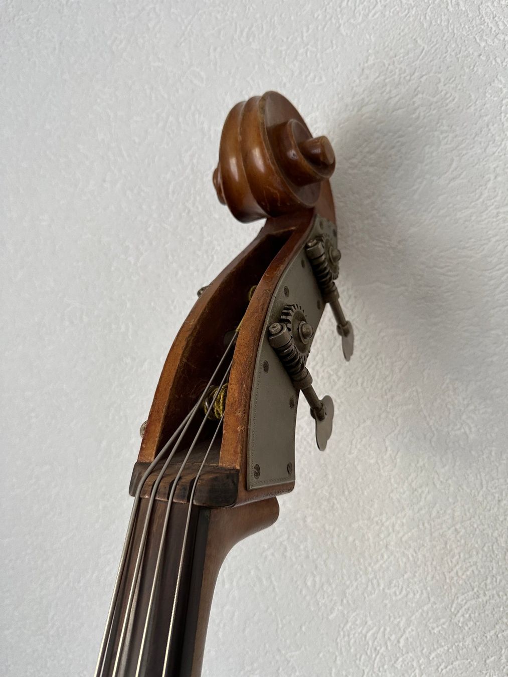 Framus Strumenti musicali: Contrebasse Framus 3/4 – Usato da Sion venduto da Floop 3