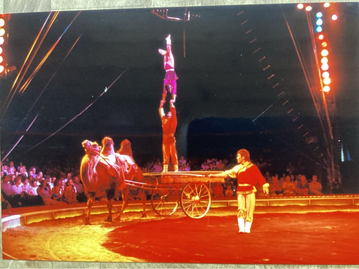 Foto & Immagini: Circus Knie Foto 1990 – Usato da Reichenbach i. K. venduto da astra2010