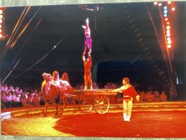 Circus Knie Foto 1990