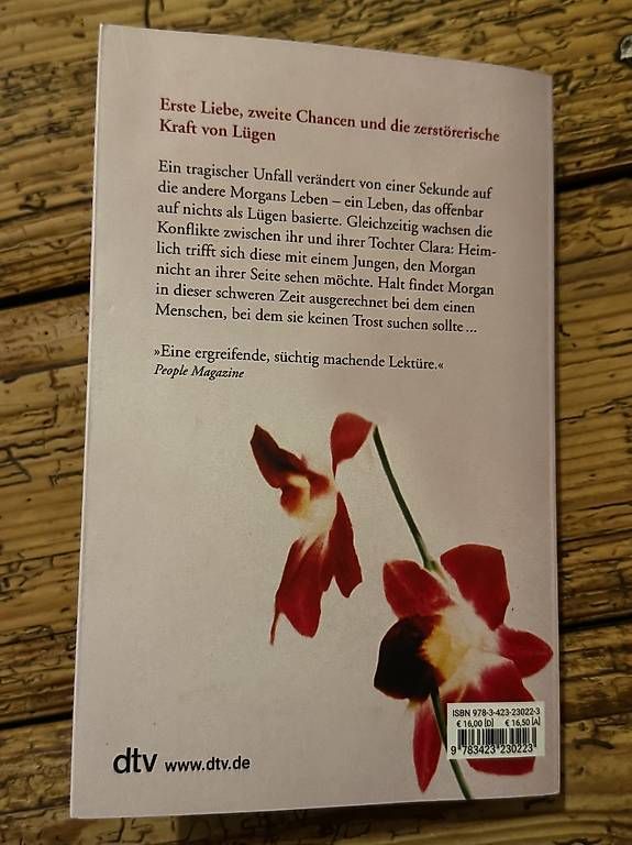 Libri: Colleen Hoover – Usato da Flumserberg Bergh venduto da kleinstein_7 1