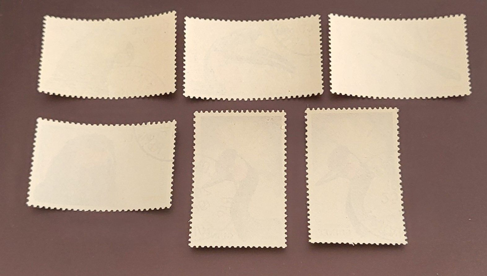 Tutti i francobolli: Guinea 1962 Vogel briefmarken – Usato da St Gallen venduto da Stampsalshobby 1