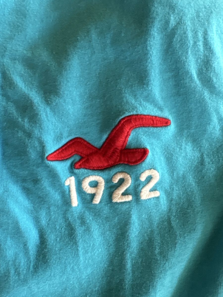 Hollister T-shirt: Hollister Langarmshirt Gr. L – Usato da Mauren venduto da ducducturi 1