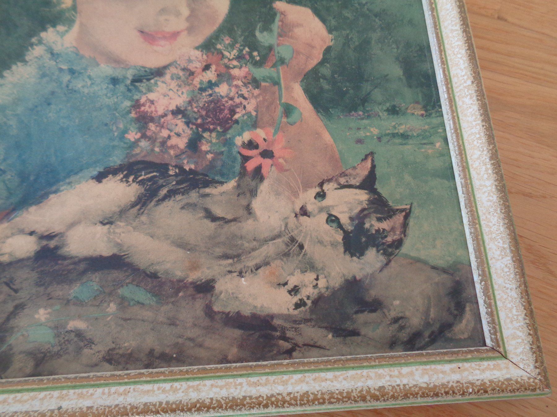Foto & Immagini: süsses Katzenbild – Usato da Hägglingen venduto da Orysen
