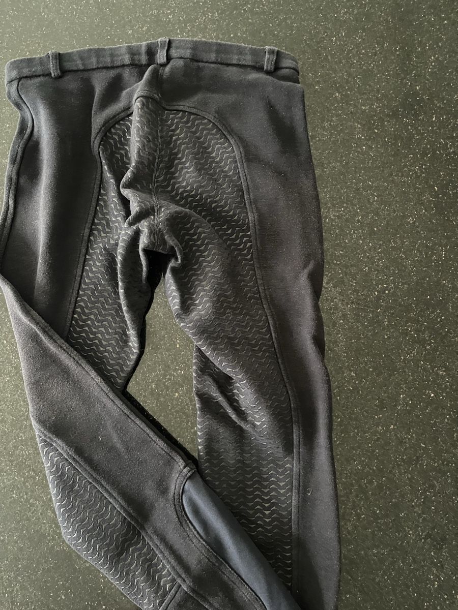 Hosen: ELT Reithose Gr. 36, blau – Gebraucht aus Auw von chr_vcc8 5