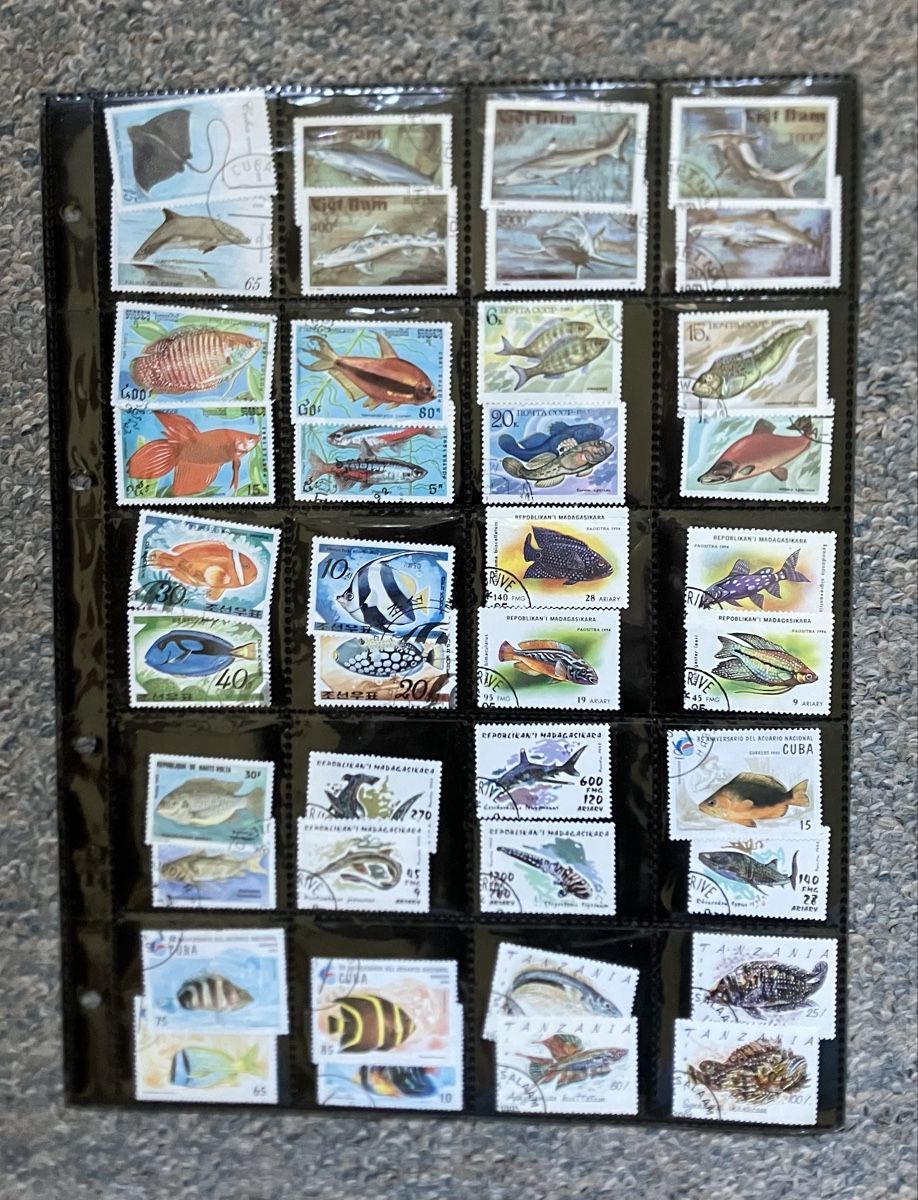 Tutti i francobolli: Briefmarkensammlung mit Fischen – Usato da Lyss venduto da Punktum01 1