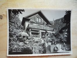 Kurort Vitznau, Pension Braun, 1.VIII.49