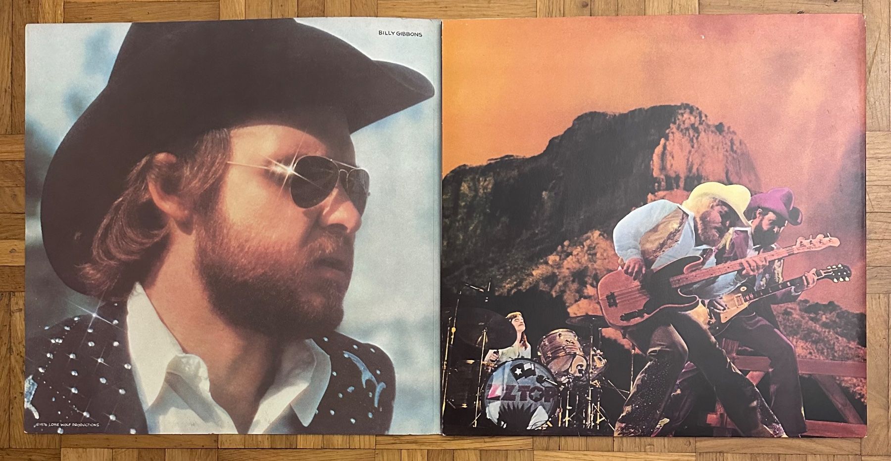 Dischi in vinile: LP - ZZ Top - Tejas – Usato da Breganzona venduto da Onairda75 2