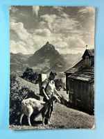 Bei Amden - belebt