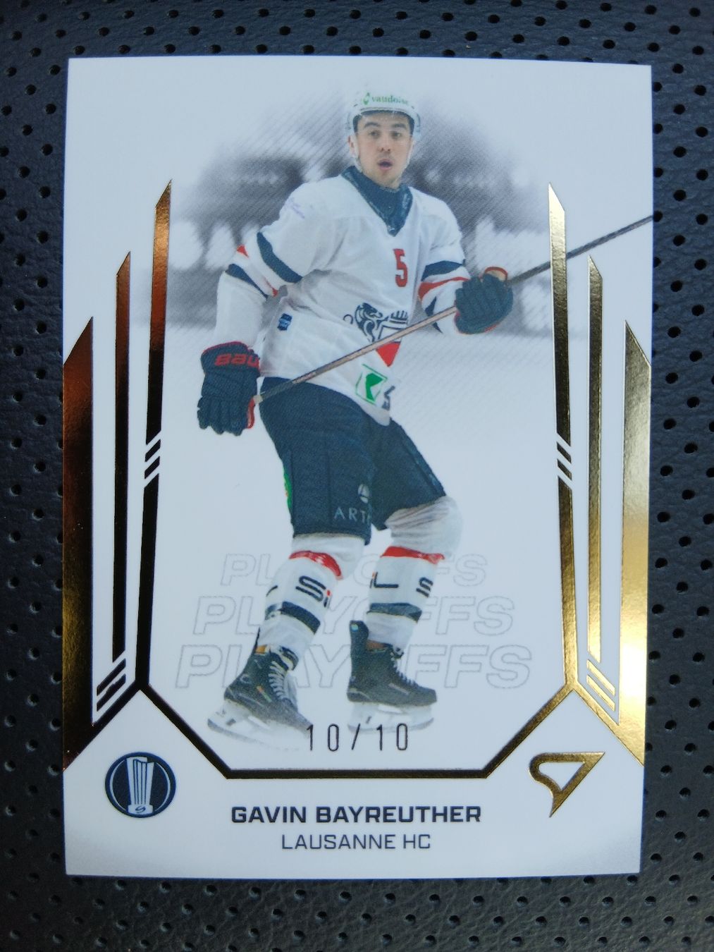 Sammelbilder & Trading cards: Gavin Bayreuther 10/10 Playoff – Neu (gemäss Beschreibung) aus Taverne von damigiano